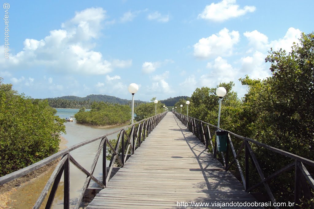 Sirinhaém - Pier de Mariassú by Sergio Falcetti