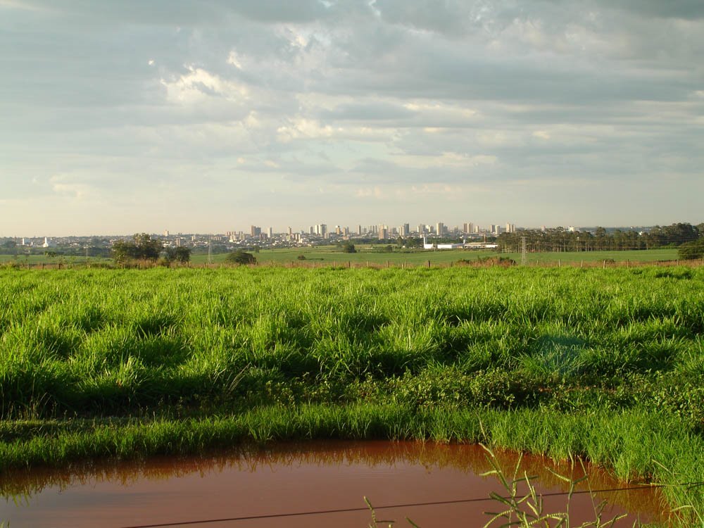 Araçatuba: City View from backroad/ Vista da Cidade a partir de uma vicinal by Marcelo Szk