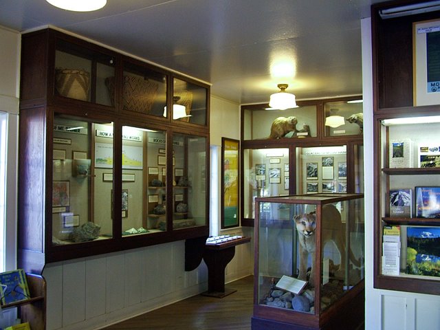 Inside the Longmire Museum, Mount Rainier National Park by Steve Schmorleitz