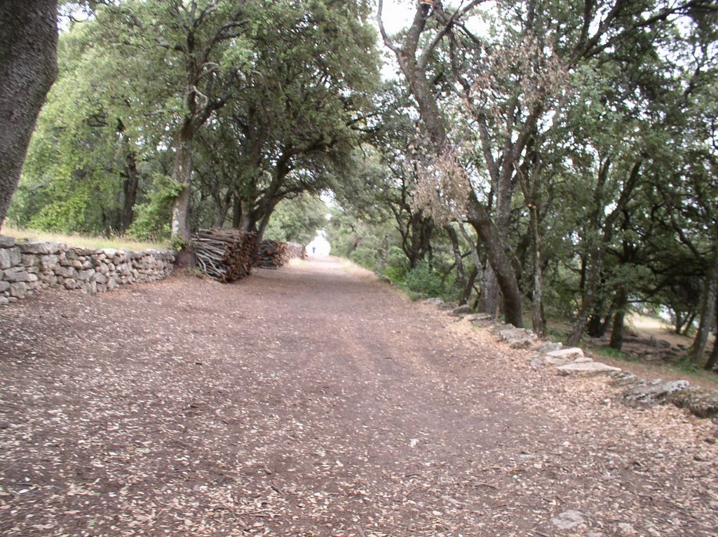 chemin vers la croix by GECKO1946