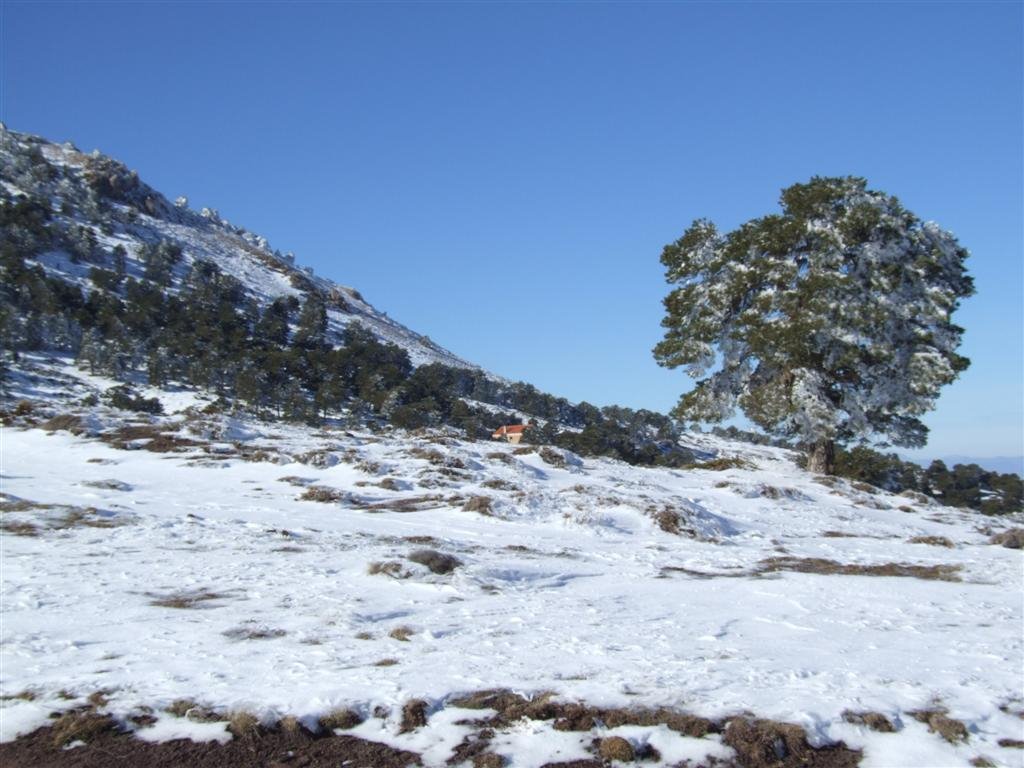 Refuge Prados del Rey, Sierra de Baza by Andrew Arnold