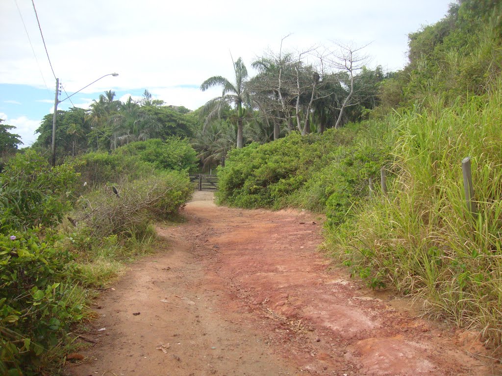 ESTRADA DE ACESSO ÀS PRAINHAS DE CARAPEBUS by Diana Kaya