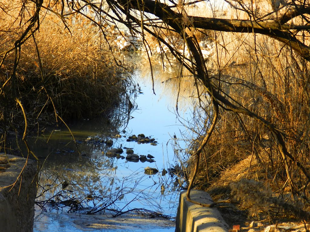 Reserva Natural Complejo Lagunar de Pedro Muñoz by Elena Belloso