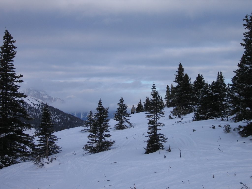 Skiing Between the Trees on Eagle Ridge at Marmot Jasper by David Cure-Hryciuk