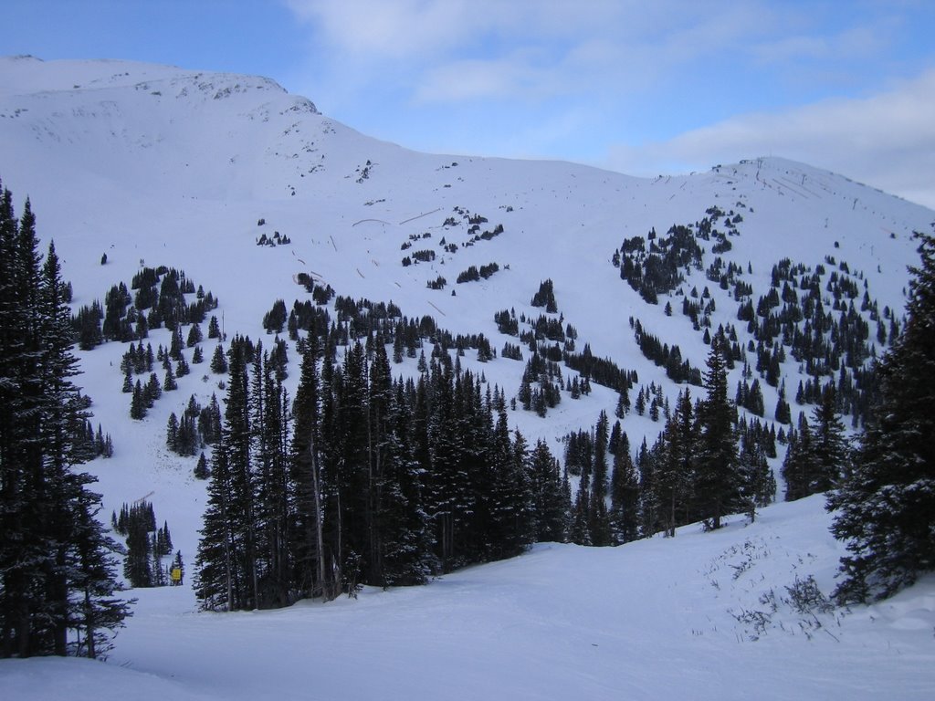 Viewing Down Towards Basin Run Between the Trees at Eagle Ridge Jasper by David Cure-Hryciuk