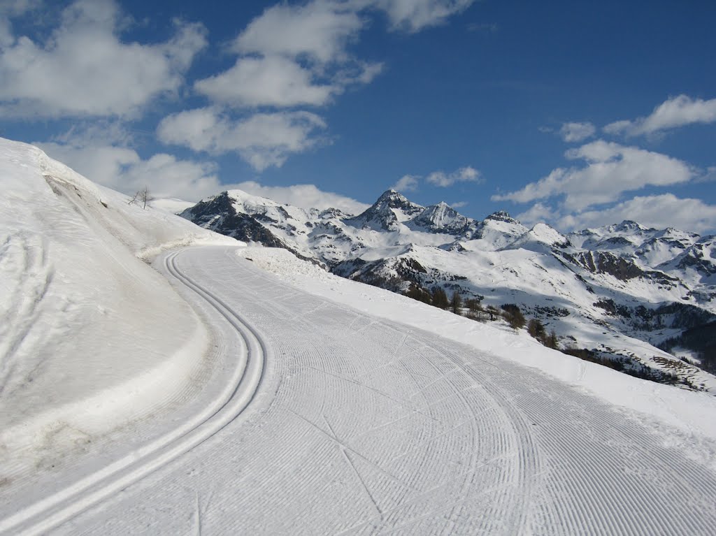 Sci nordico pista GRANDES MONTAGNES - Torgnon - by ANDREA GERVASONI