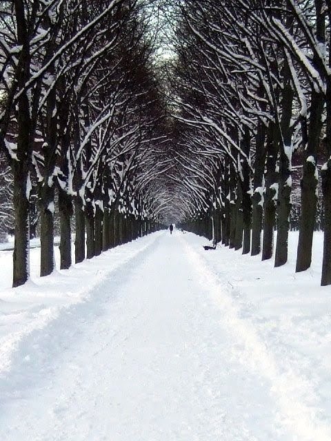 Hannover, Herrenhausen, Georgengarten im Winter 2009/2010 by basti1962