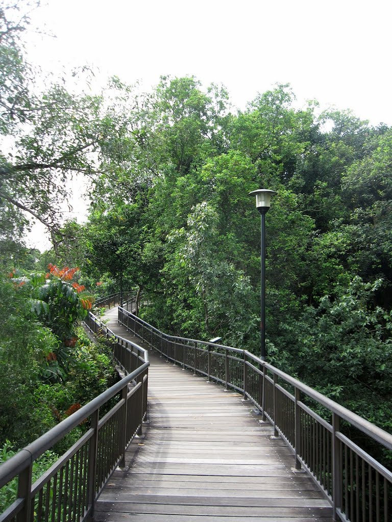 Canopy Walk from Kent Ridge Park towards Hort Park by ngvm