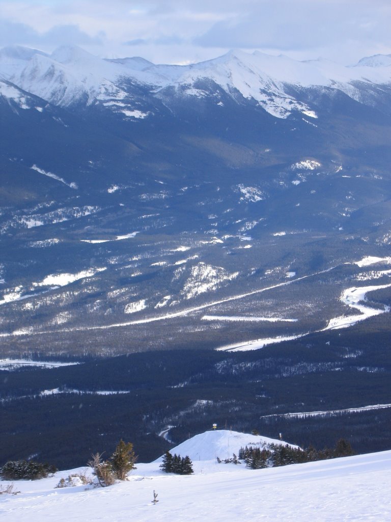 A Sharp Drop Down to the Athabasca Valley From Eagle Ridge Jasper by David Cure-Hryciuk