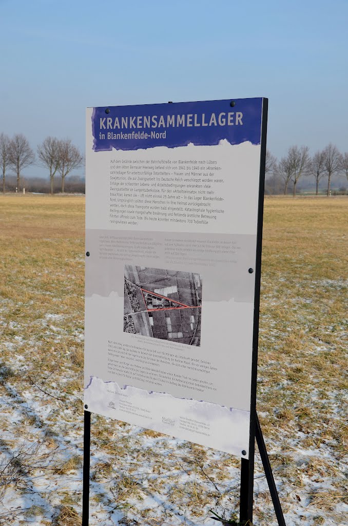 Krankensammellager Blankenfelde Nord by Oliver Nordt