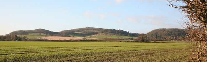 Dumbleton Hill, viewed from the east by Graham Martin