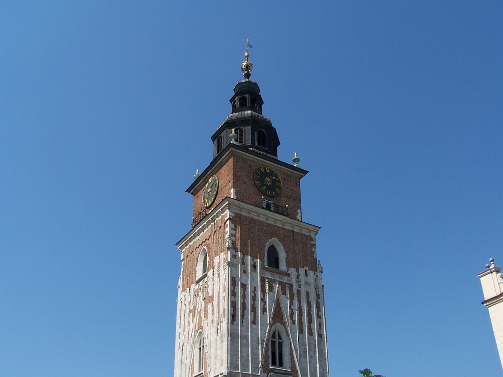 Kościół Mariacki by Jarek z Brzegu