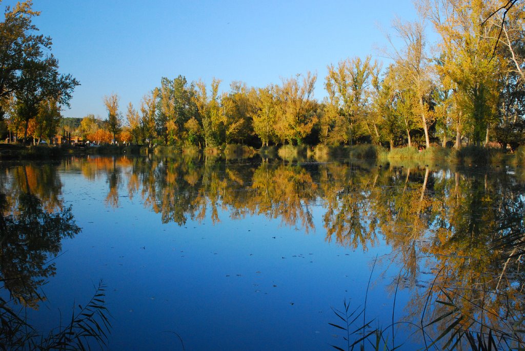 Banyoles (estanyol del Vilar) by mparaira