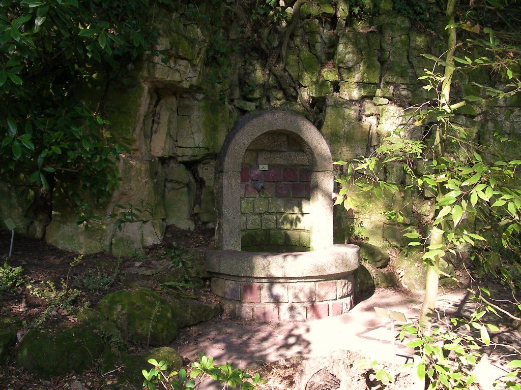 Fontaine du Jardin des Plantes by Roi Dagobert