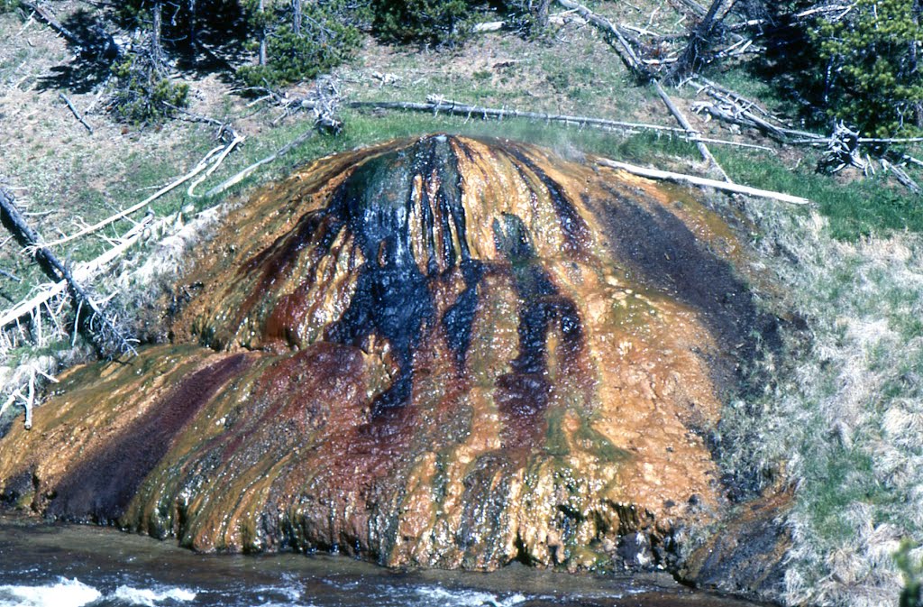 Yellowstone NP...norris-becken...wyoming...USA by f.h ehrenberger germany