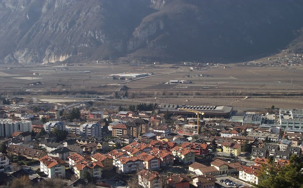 Trento, República Italiana by Angelo Carlos Ronchi