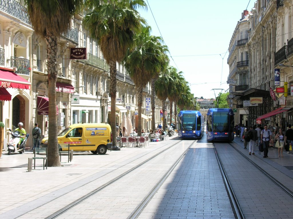 Montpellier - Tramway dans la Rue de Maguelone by StephGyss