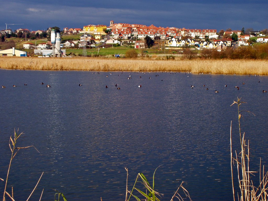 MALIAÑO ALTO CANTABRIA by avelino lopez