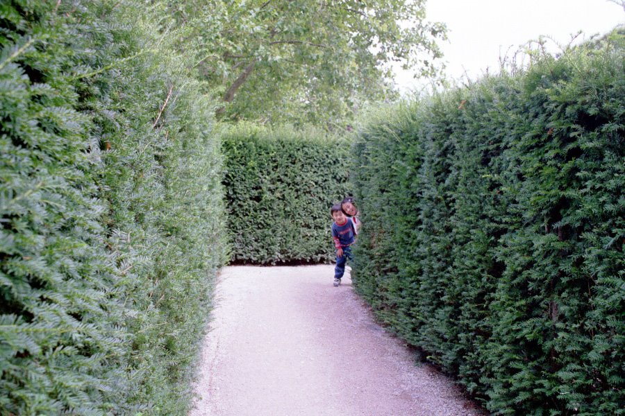 Irrgarten, Schonbrunn by keim heim