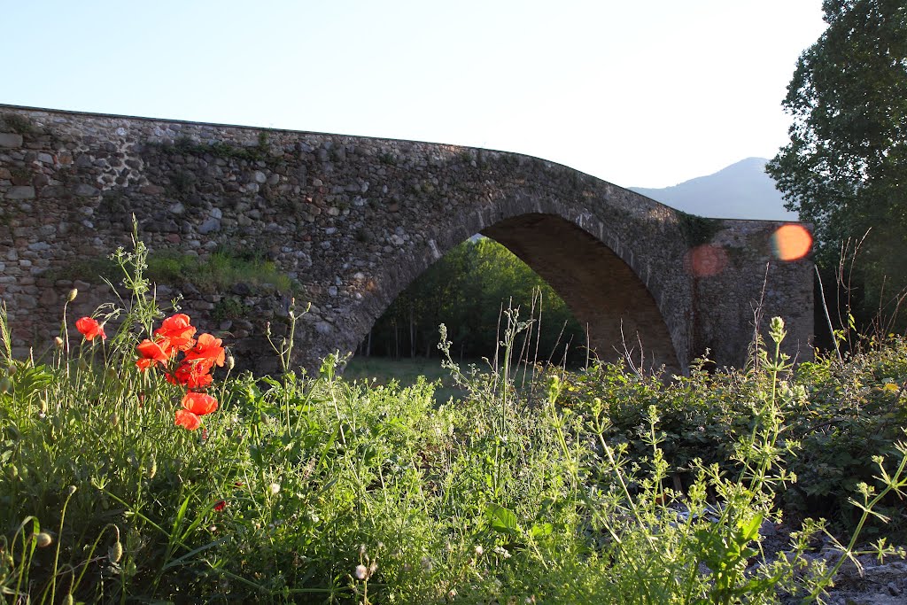 Sant Julià del Llor by Josep Lluís Grau