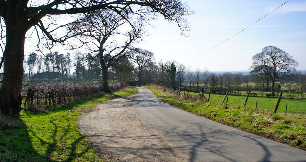 Slade Lane, Over Alderley by Dennis Neill