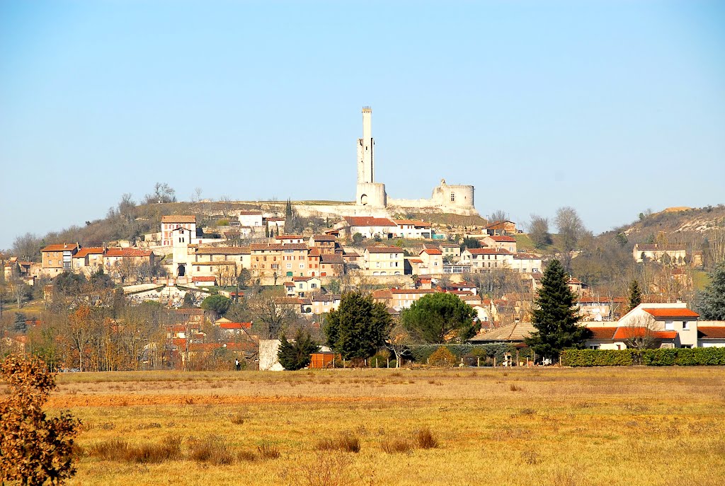 Castelnau-de-Lévis vue de Terssac by F@M