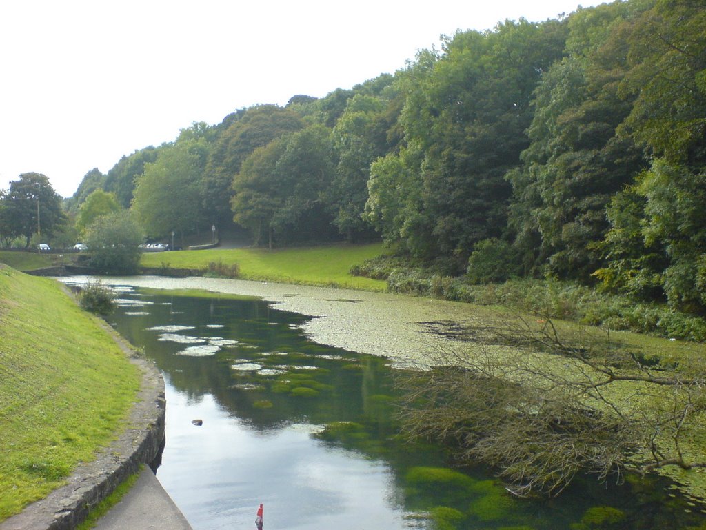 Down the Aggi by p.mackrell