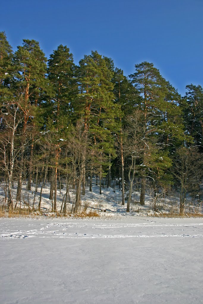 Drabužis lake by rimas