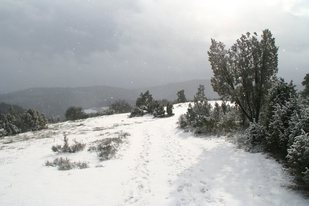 Schneegestöber im Dr. Heinrich- Menke-Park by clgilles