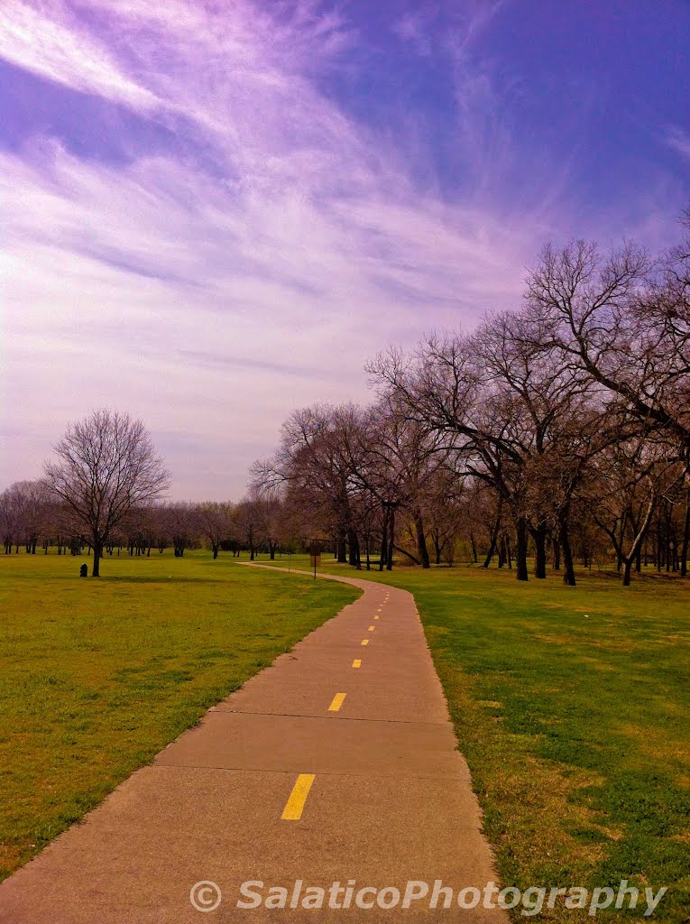 Harry Moss Park, Dallas, TX by Salatico