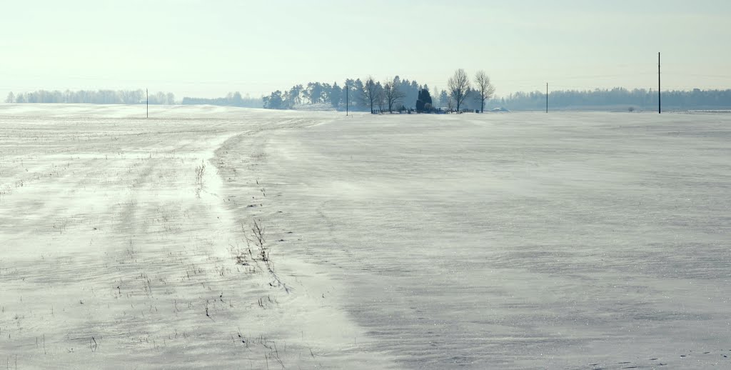 Naujamiestis area landscape by Renatorius (Reno)