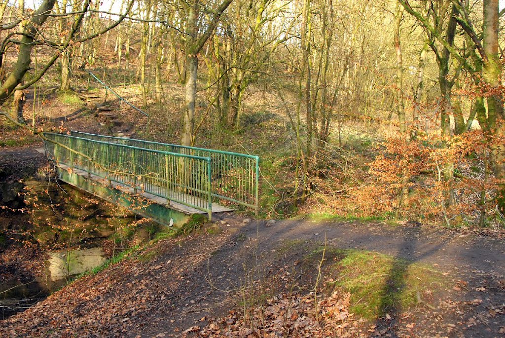 Footbridge by David Humphreys