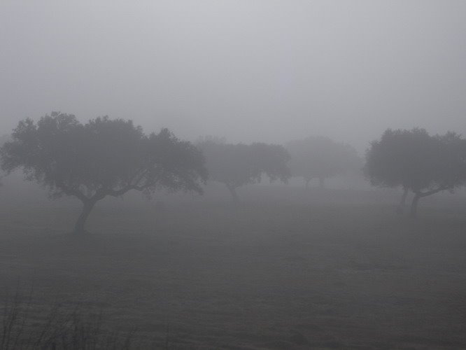 Campo Arañuelo (Caceres) by Iñaki Rubio