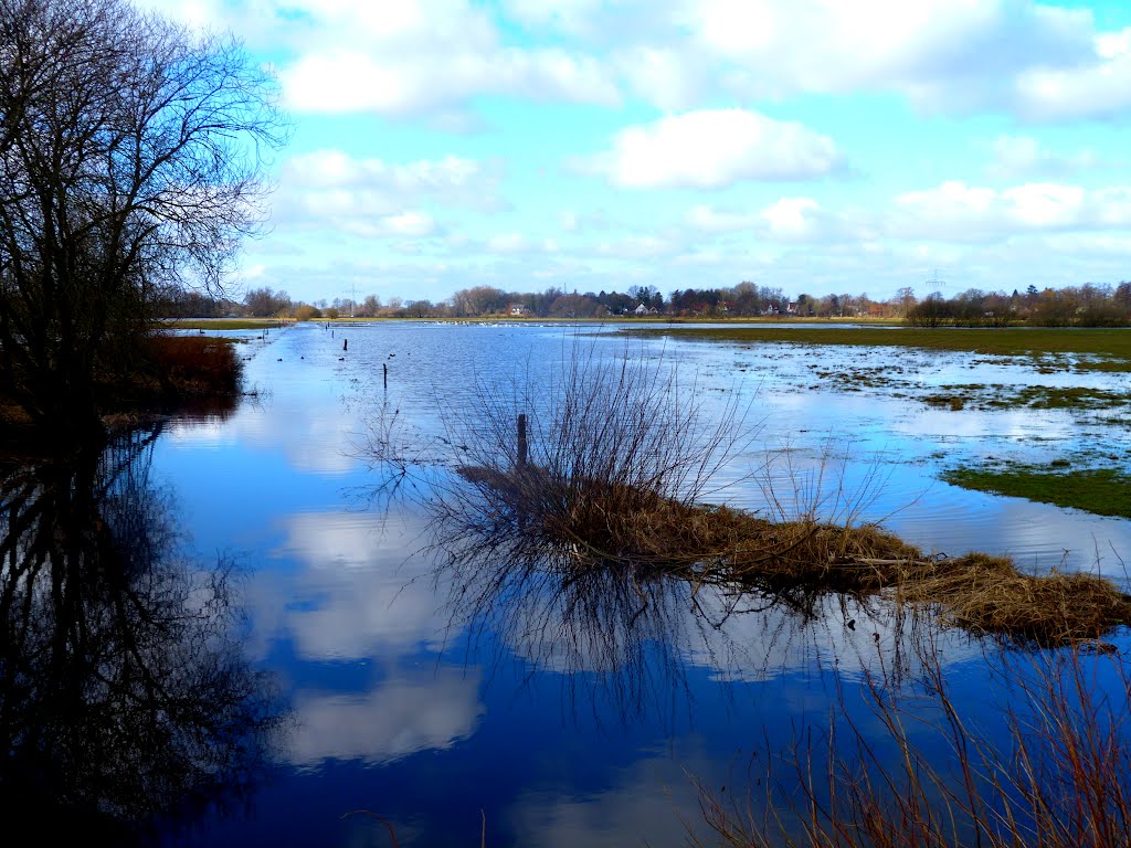 Über die Ufer getreten by Barbara Wenzel-Winter