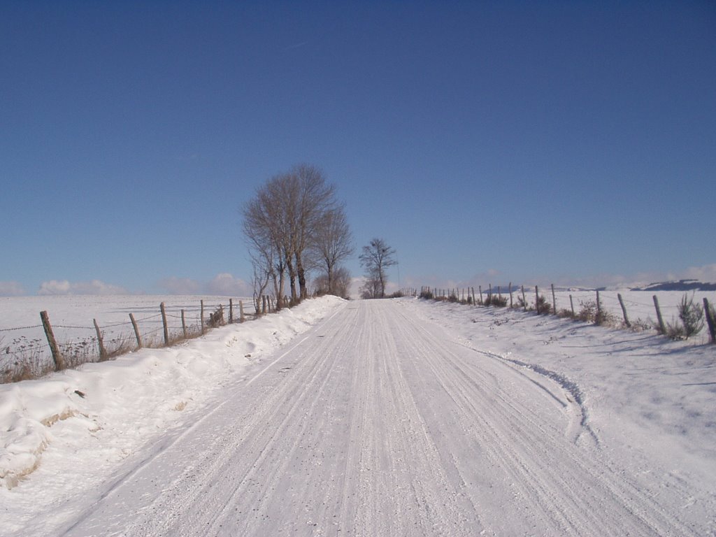 Route des crêtes enneigée, Janvier 2005 by lasdou