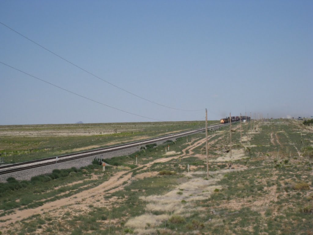 Union Pacific, New Mexico (2733a) by donbrr