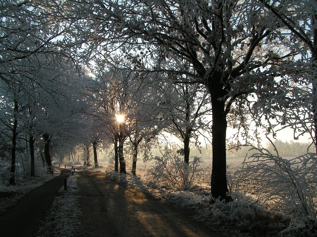 *Maarheeze: winter (22-12-2007) by Hans Briaire