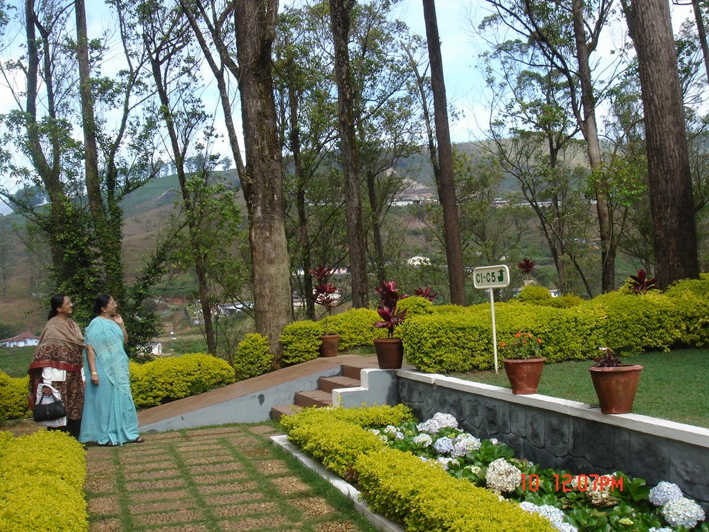 VIEW from hotel TEA COUNTY,MUNNAR,KERALA by KUNDAN MEHTA