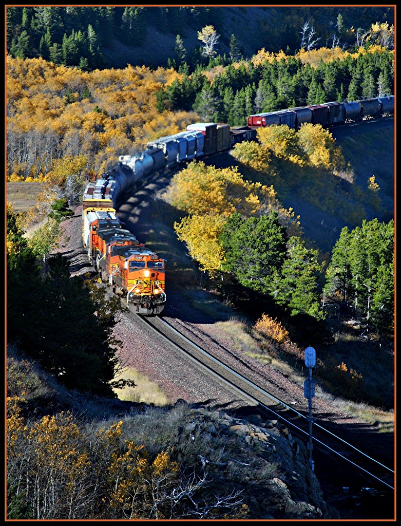 BNSF Train at Bison East : Montana by Loco's Loco Co.