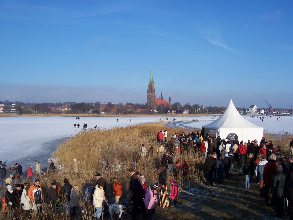 Möweninsel im Winter by EKrompholz