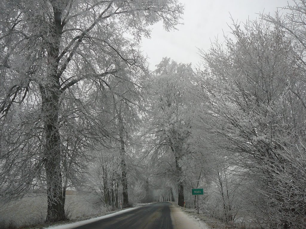 Gmina Chmielno, Poland by Karolina P.