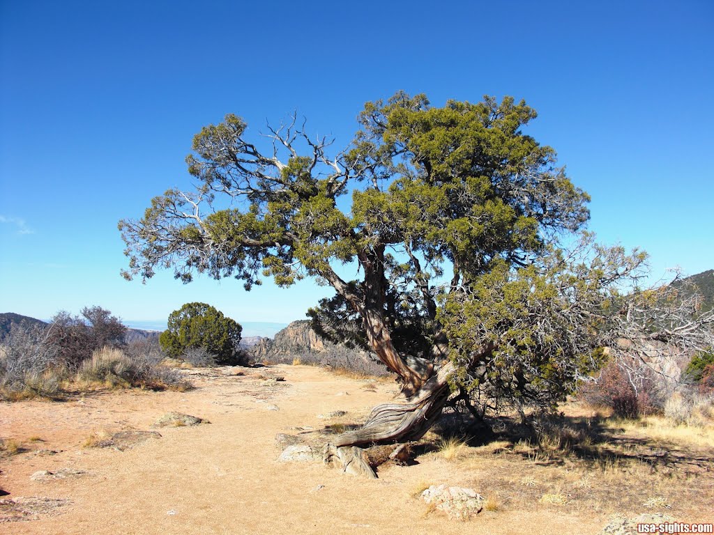 Black-Canyon-of-the-Gunnison-Nationalpark by usa-sights.com