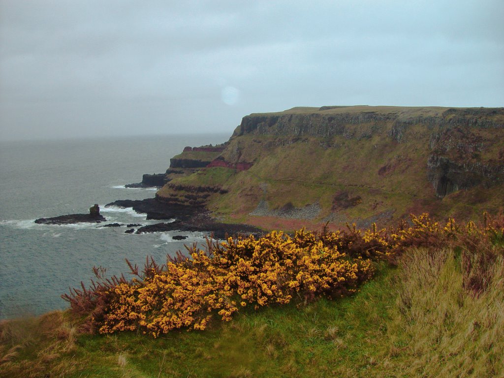 Antrim coast, north ireland by luis langer