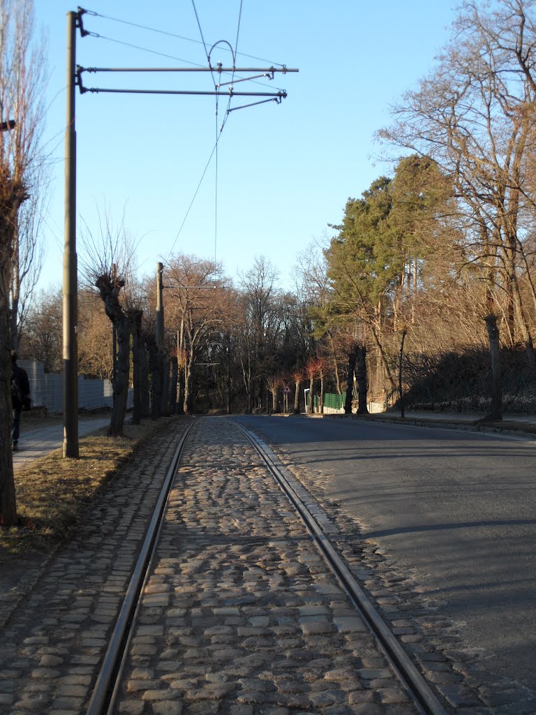 Altes Gleis in der Schleusenstraße by IngolfBLN