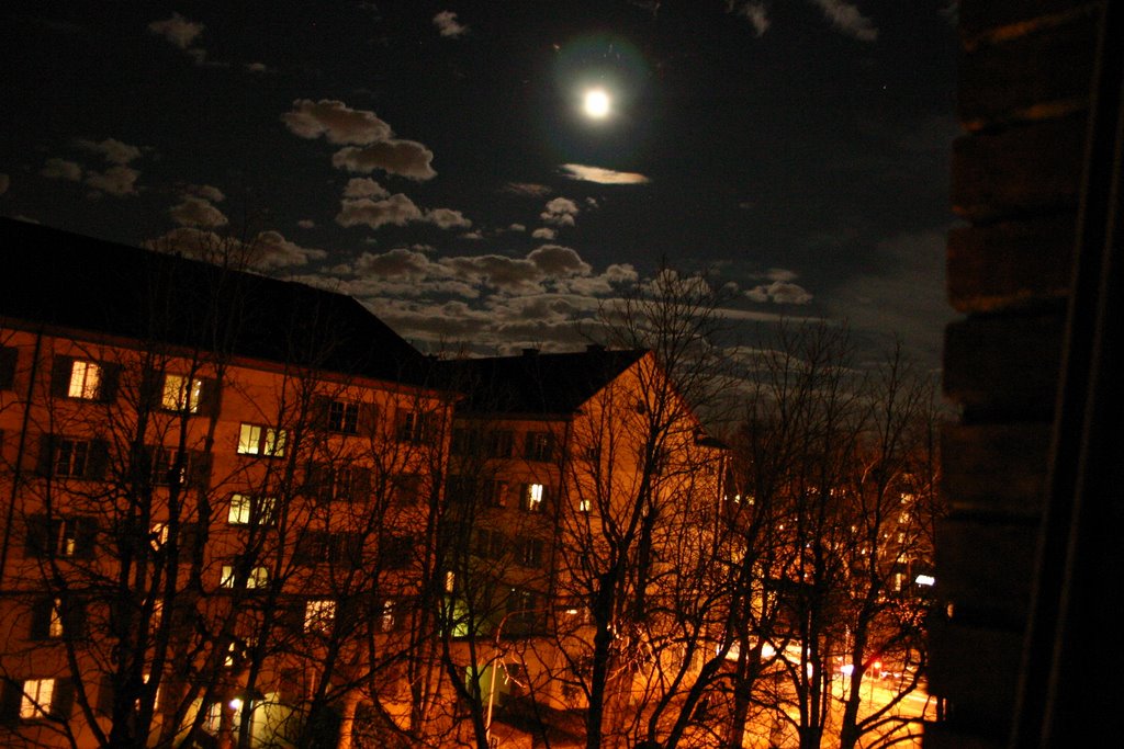 Stauffacherstr by peider filli