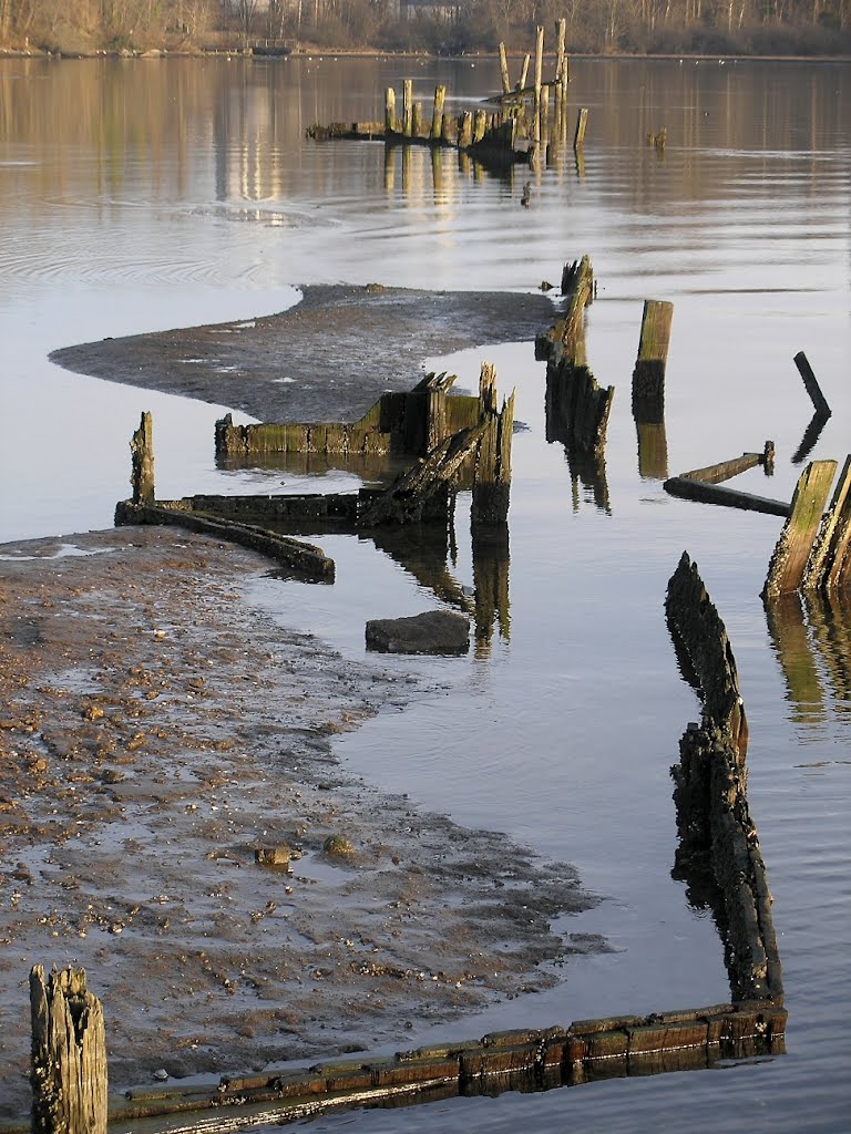 Port Moody Foreshore near Old Orchard Park by burkemtnman