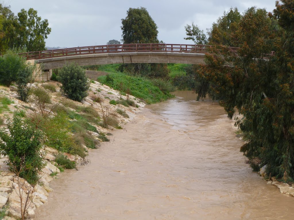 Lakhish Stream near Ashdod (Israel, 2012) by smeroz