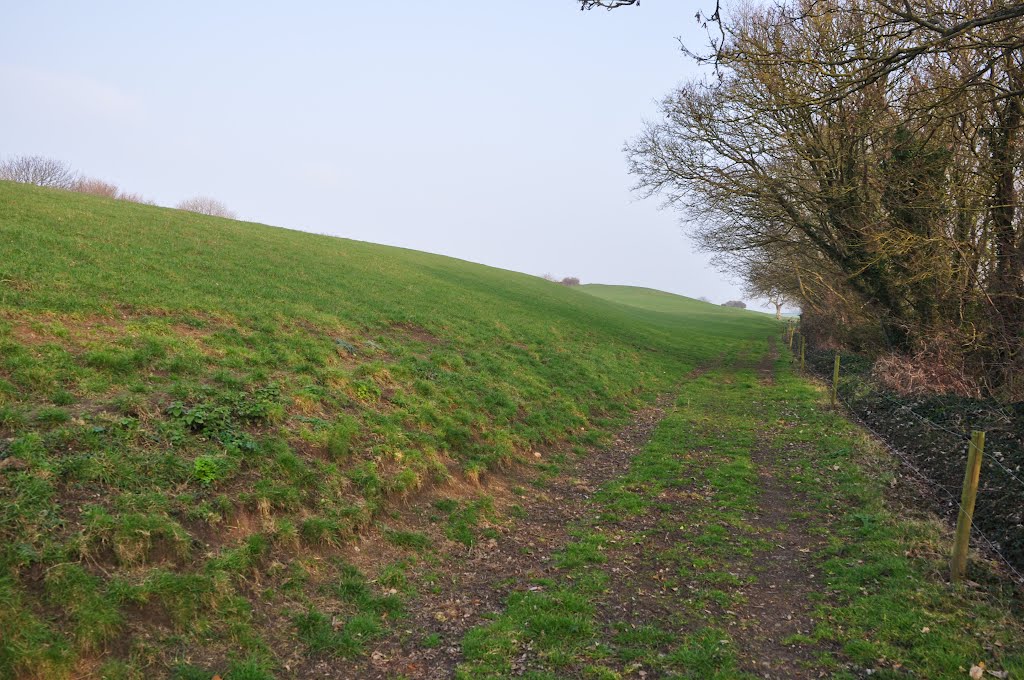 West Somerset : Footpath & Field by A Photographer