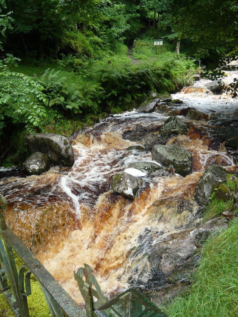 Oldboleys, Co. Wicklow, Ireland by georama