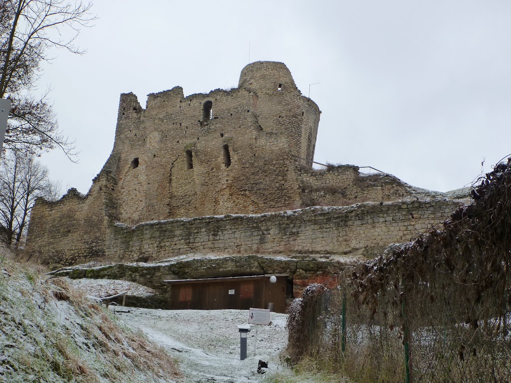 Hrad Michalovice 01 2012 by martinacorn